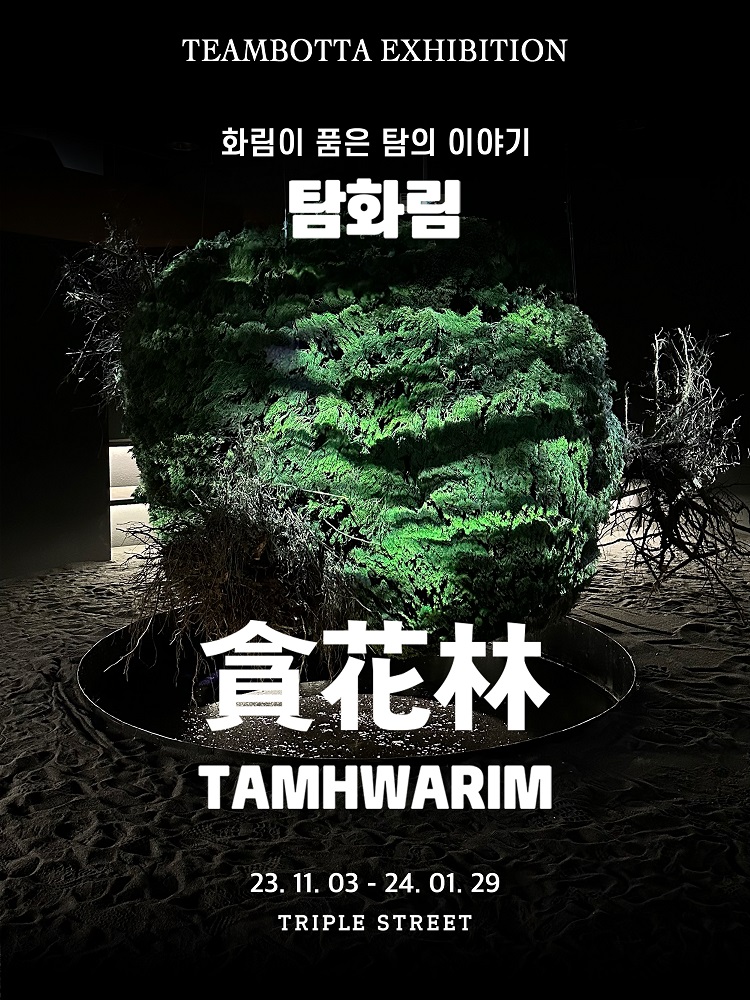 팀보 이미지