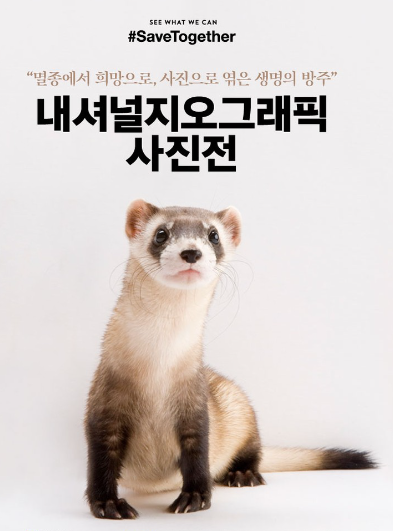 내셔널지오그래픽 이미지